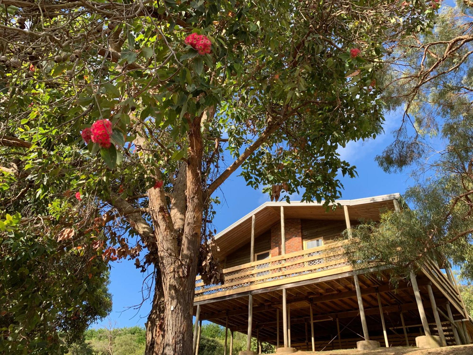 Iluka Retreat Hotel Red Hill South Exterior foto